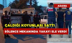 Çaldığı Koyunları Sattı Eğlence Mekanında Yakayı Ele Verdi