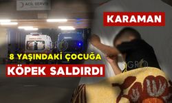 Çoban Köpeği  8 Yaşındaki Çocuğa Saldırdı