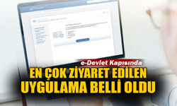 e-Devlet Kapısında En Çok Ziyaret Edilen Uygulama Belli Oldu