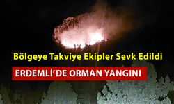 Erdemli'de Orman Yangını