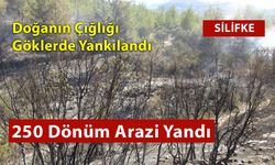 Havadan Karadan Müdahale İle Zor Kontrol Altına Alındı