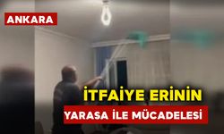 İtfaiye Eri Yarasa ile Böyle Mücadele Etti