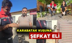 Karaman'da Karabatak Kuşuna Şefkat Eli