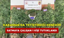 Karaman’da Yetiştirdiği Keneviri Satmaya Çalışan 1 Kişi Tutuklandı