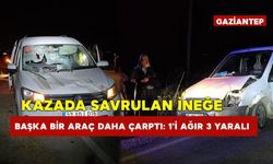 Kazada Savrulan İneğe Başka Bir Araç Daha Çarptı: 1'i Ağır 3 Yaralı