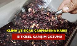 Klima ve Sıcak Çarpmasına Karşı Bitkisel Karışım Çözümü