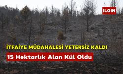 Konya'da 15 Hektarlık Alan Kül Oldu