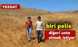 Minik Çobanların Biri Polis Diğeri Usta OImak İstiyor