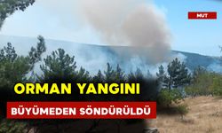 Orman Yangını Büyümeden Söndürüldü