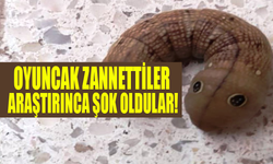 Oyuncak Zannettiler Gerçeği Öğrenince Şok Oldular