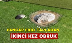 Pancar Ekili Tarlada İkinci Kez Obruk Oluştu