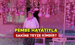 Pembe Hayatıyla Sakine Teyze Kimdir?