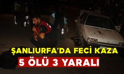 Şanlıurfa'da 5 Çocuğu Ailesinden Koparan Kaza