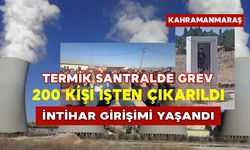 Termik Santralde Grev: 200 Kişi İşten Çıkarıldı, İntihar Girişimi Yaşandı