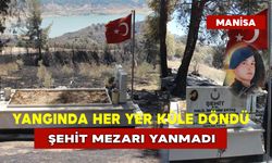 Yangında Her Yer Küle Döndü Şehit Mezarı Yanmadı