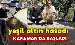 "Yeşil Altın" hasadı Karaman'da Başladı