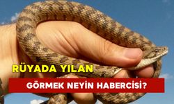 Yılan Görmek Neyin Habercisi?