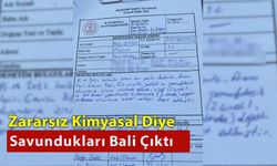 Zararsız Diye Savundukları Bali Çıktı