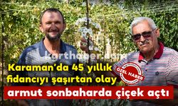 45 yıllık fidancıyı şaşırtan olay: armut fidanı sonbaharda çiçek açtı