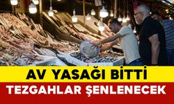 Av yasağının 15 Eylül’de kalkmasıyla tezgahlarda balık bolluğu yaşanıyor