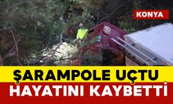 Kamyon şarampole uçtu sürücü hayatını kaybetti