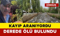 Kayıp aranıyordu... Derede ölü bulundu