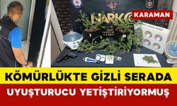 Kömürlükte gizli serada uyuşturucu yetiştirirken yakalandı