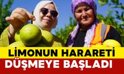 Limonun Harareti Düşmeye Başlıyor