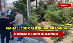 Mahallede çalılıklar arasında cansız beden bulundu