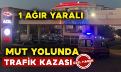 Mut yolunda kaza: 1 ağır yaralı