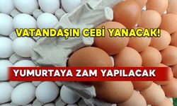 Vatandaşın cebi yanacak! Yumurtaya dev zam yapılacak