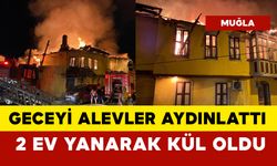 2 ev yanarak kül oldu: yangında 6 kedi öldü