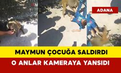 Adana’da maymun çocuğa saldırdı: O anlar kameraya yansıdı