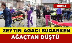 Ağaçtan düşen adam yaralandı