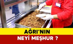 Ağrı'nın neyi meşhur?