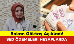 Bakan Göktaş Açıkladı! SED Ödemeleri Hesaplarda