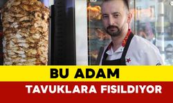 Bu adam tavuklara fısıldıyor