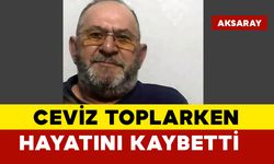 Elektrik akımına kapıldı hayatını kaybetti