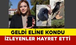 Eline geldi kondu, izleyenler hayret etti