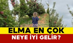 Elma En Çok Neye İyi Gelir?