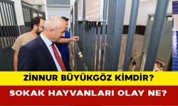 Gebze belediye başkanı kimdir? Zinnur Büyükgöz kimdir?  Zinnur Büyükgöz’ün sokak hayvanları olayı ne?