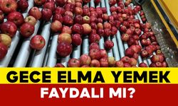 Gece elma yemek faydalı mı?