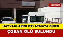 Hayvanlarını Otlatmaya Giden Çoban Ölü Bulundu