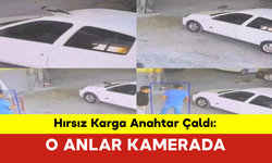 Hırsız Karga Anahtar Çaldı: O Anlar Kamerada