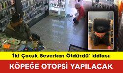 'İki Çocuk Severken Öldürdü' İddiası: Köpeğe Otopsi Yapılacak