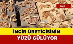 İncir Üreticisinin Yüzünü Güldürdü