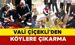 Karaman Valisi Çiçekli'den köylere çıkarma