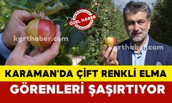 Karaman’da milyonda bir görülen sarı kırmızı elma görenleri şaşırtıyor