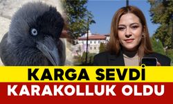 Karga sevip video paylaştı, karakolluk oldu