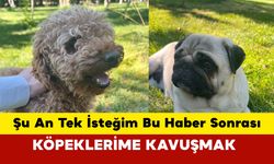 Kaybolan İki Köpeğini Arıyor